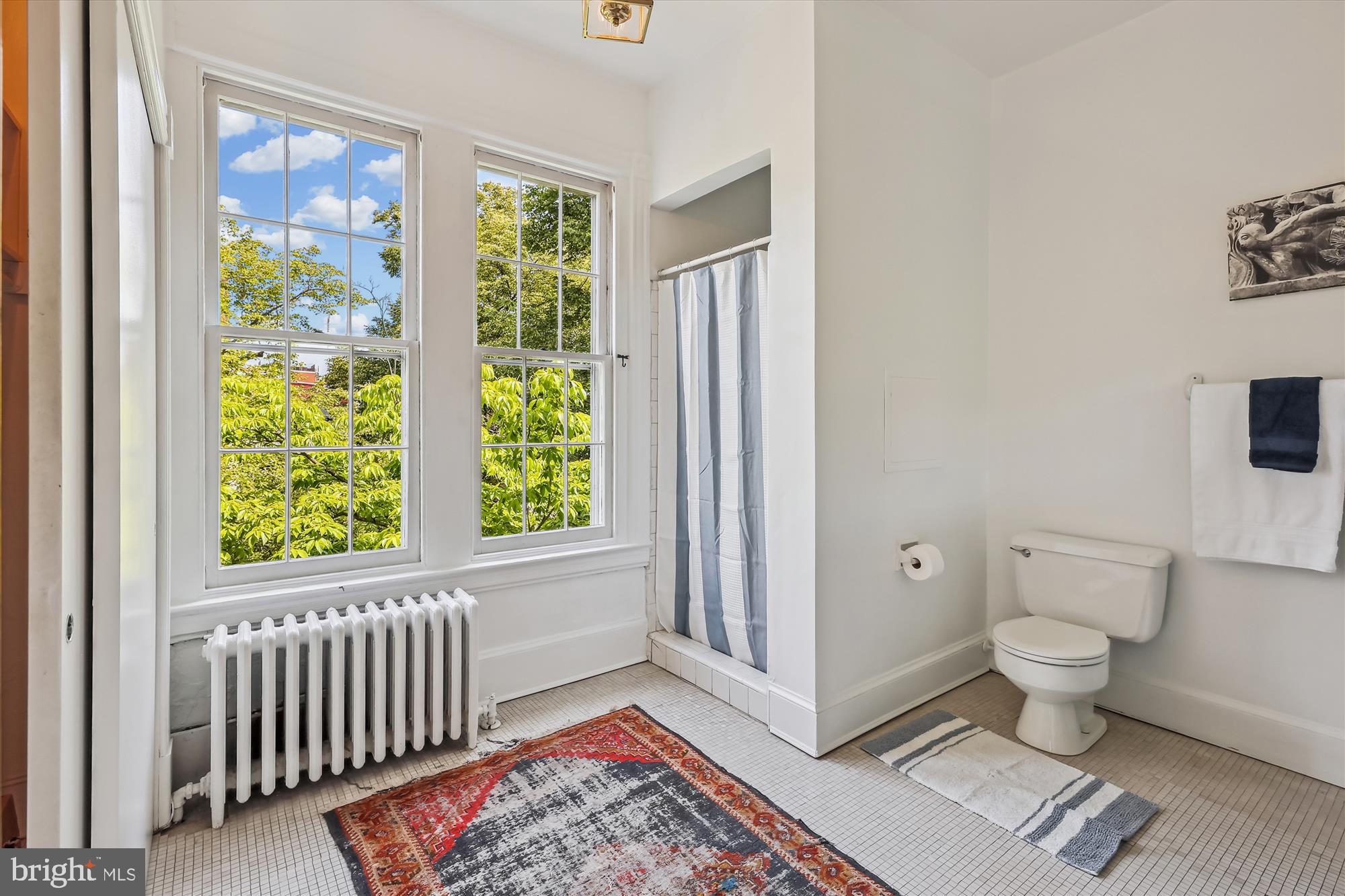 501 D Street Southeast Washington, DC 20003 - Photo 17 of 35 Very Large Bath Area
