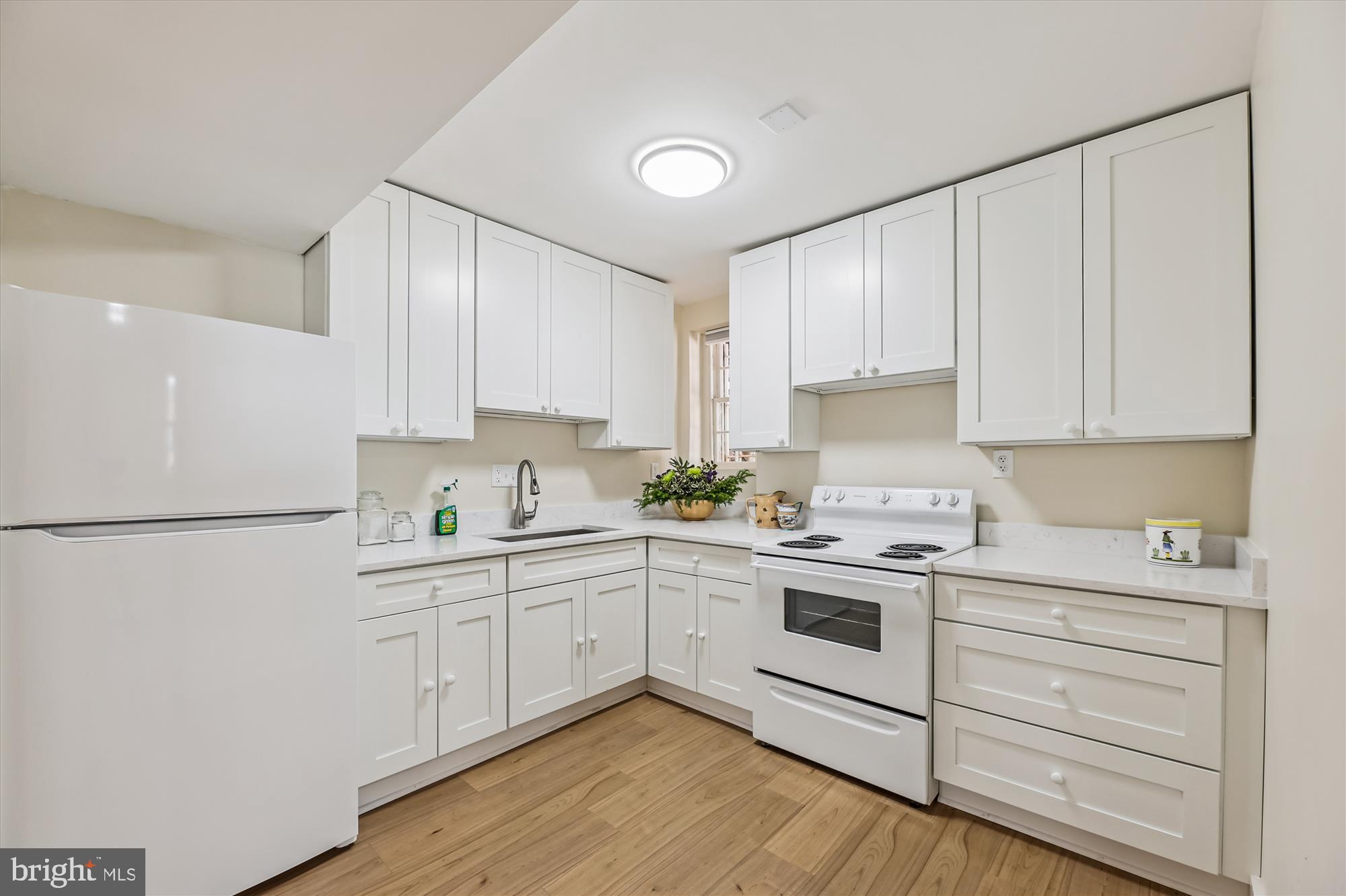 501 D Street Southeast Washington, DC 20003 - Photo 30 of 35 Lower Floor New Kitchen