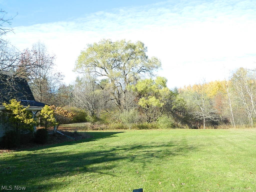 9284 Mayfield Road Chesterland, OH 44026 - Photo 29 of 33 View from Patio to the Back Yard