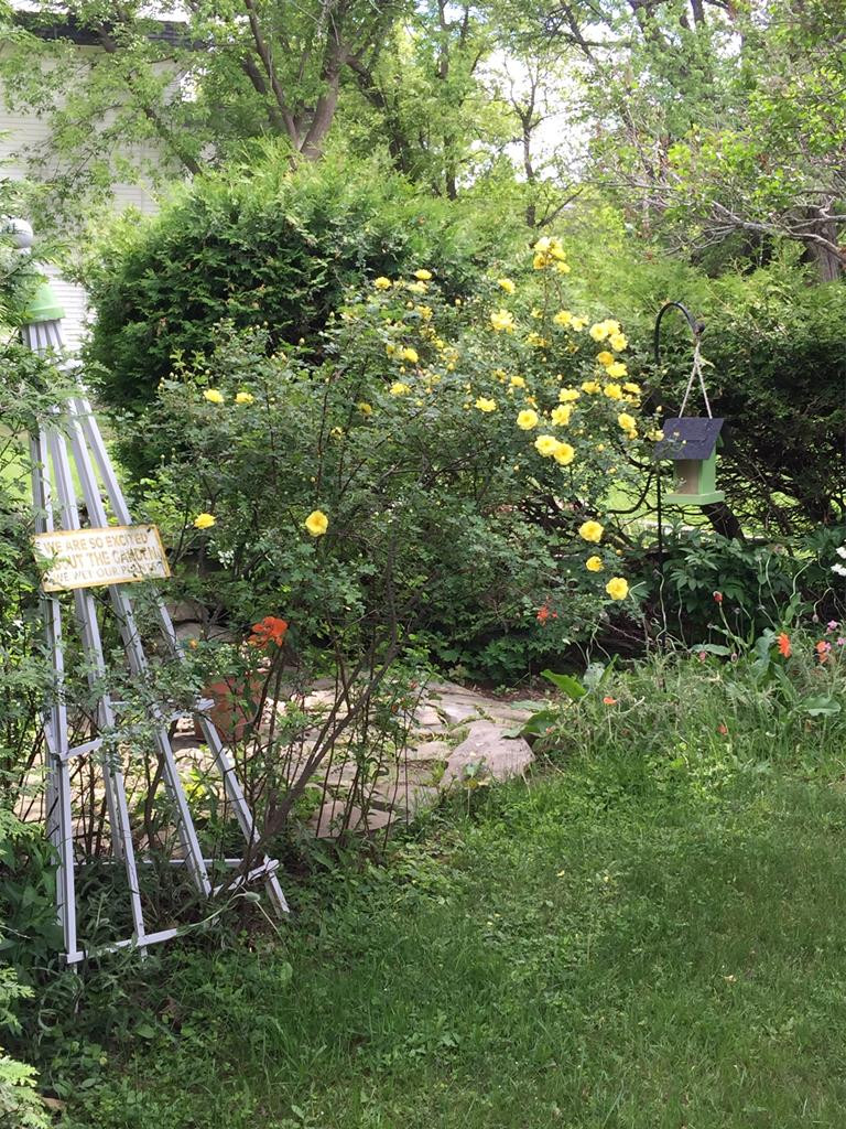 560 Devils Den Road Altona, NY 12910 - Photo 26 of 29 Gallery Image 26