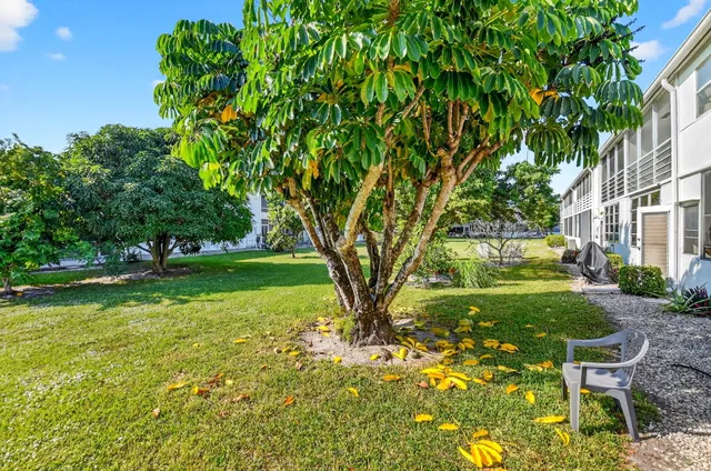 a view of backyard with table and chairs and large trees