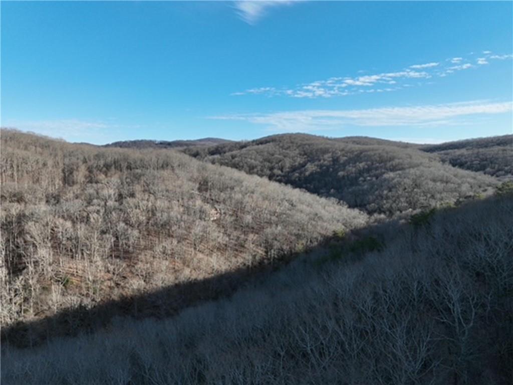 249 Andes Ridge Talking Rock, GA 30175 - Photo 13 of 20