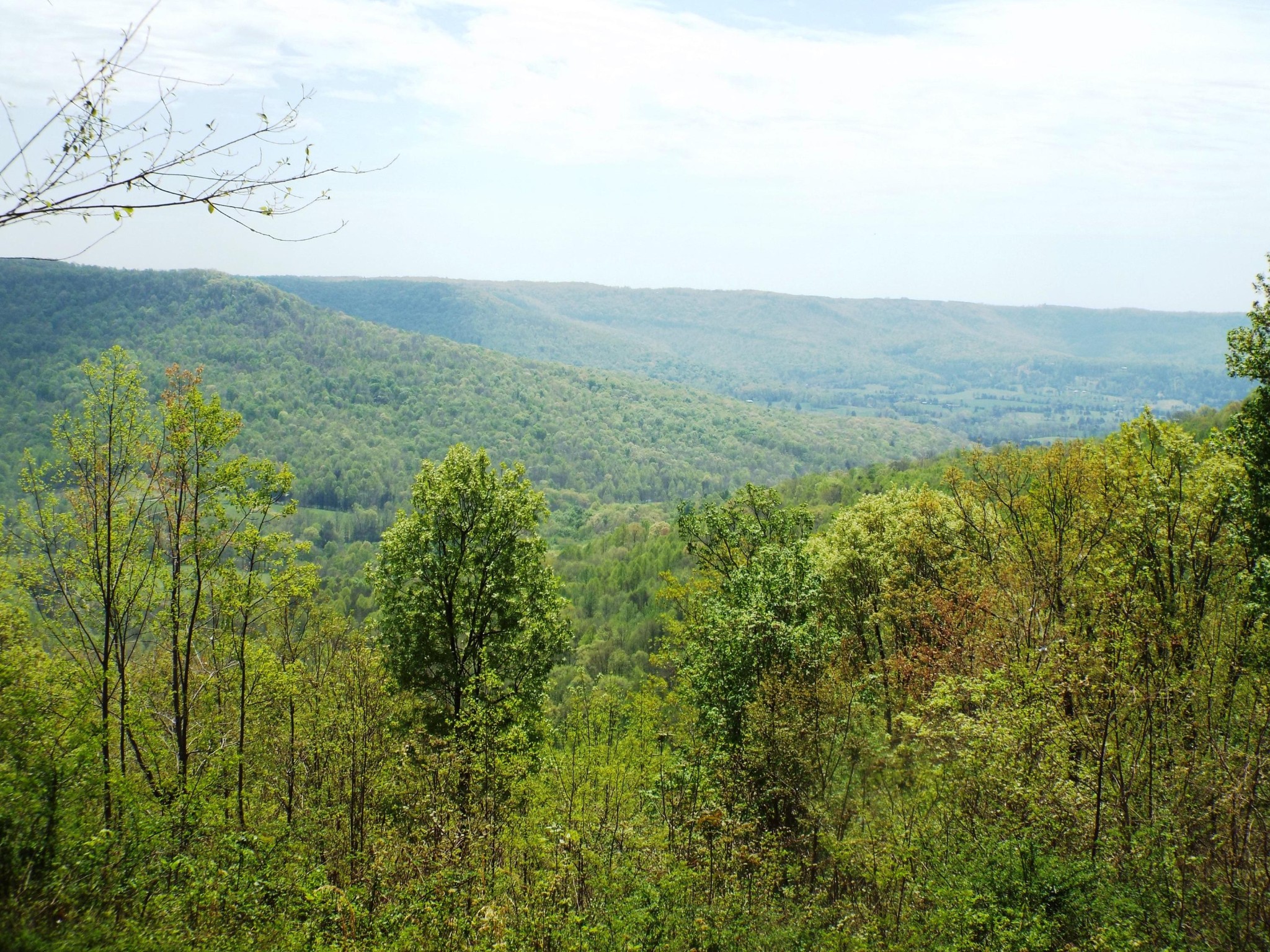 4473 Squirrel Flat Road Jamestown, TN 38556 - Photo 21 of 21 Gallery Image 21