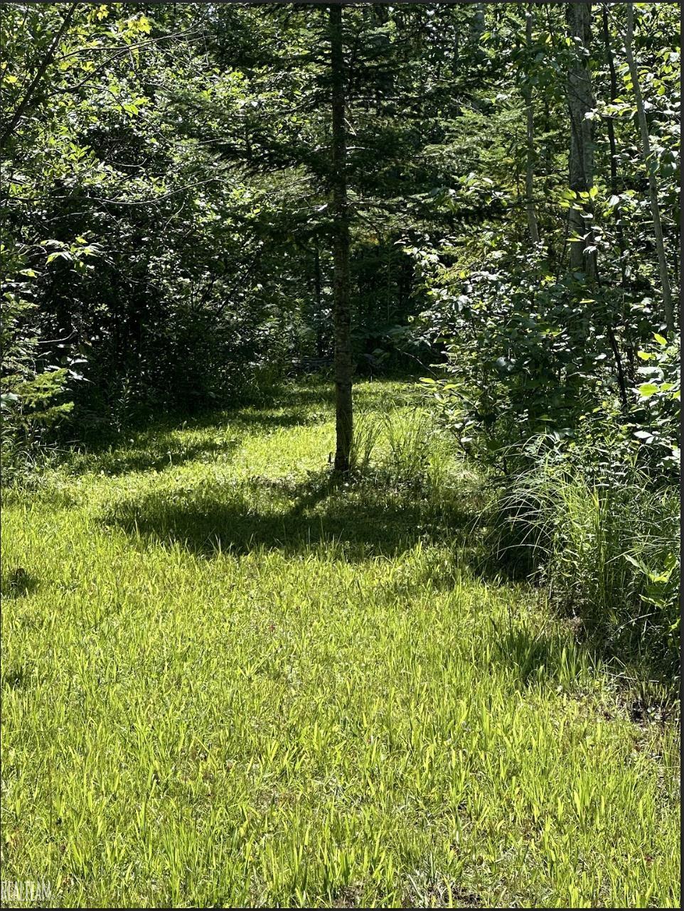 16865 Grace Harbor Road Millersburg, MI 49759 - Photo 30 of 35