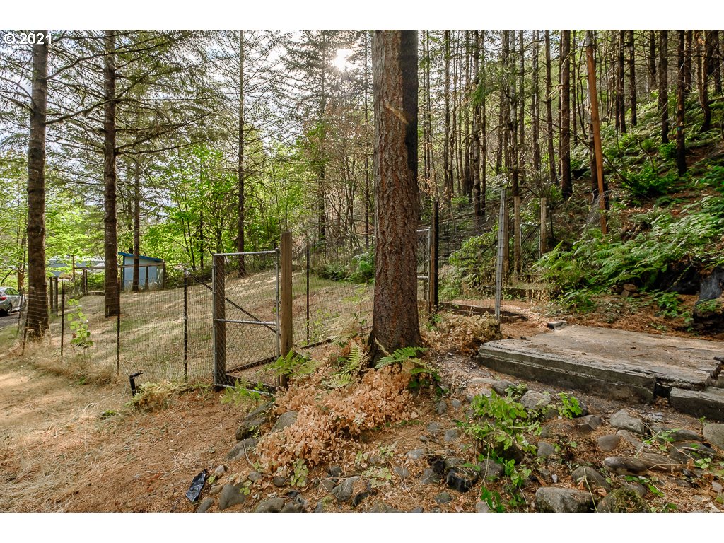 25458 Taylor Park Road Southeast Lyons, OR 97358 - Photo 25 of 30 Gallery Image 25