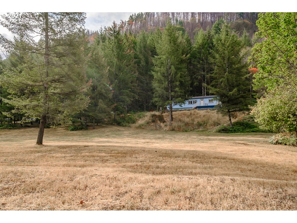 25458 Taylor Park Road Southeast Lyons, OR 97358 - Photo 29 of 30 Gallery Image 29