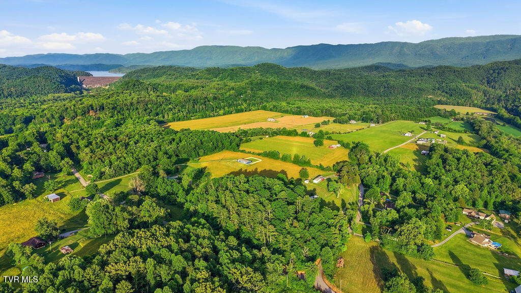 505 River Bend Road, Unit 1RR Bristol, TN 37620 - Photo 13 of 21 003_DJI_20260530192627_0014_D