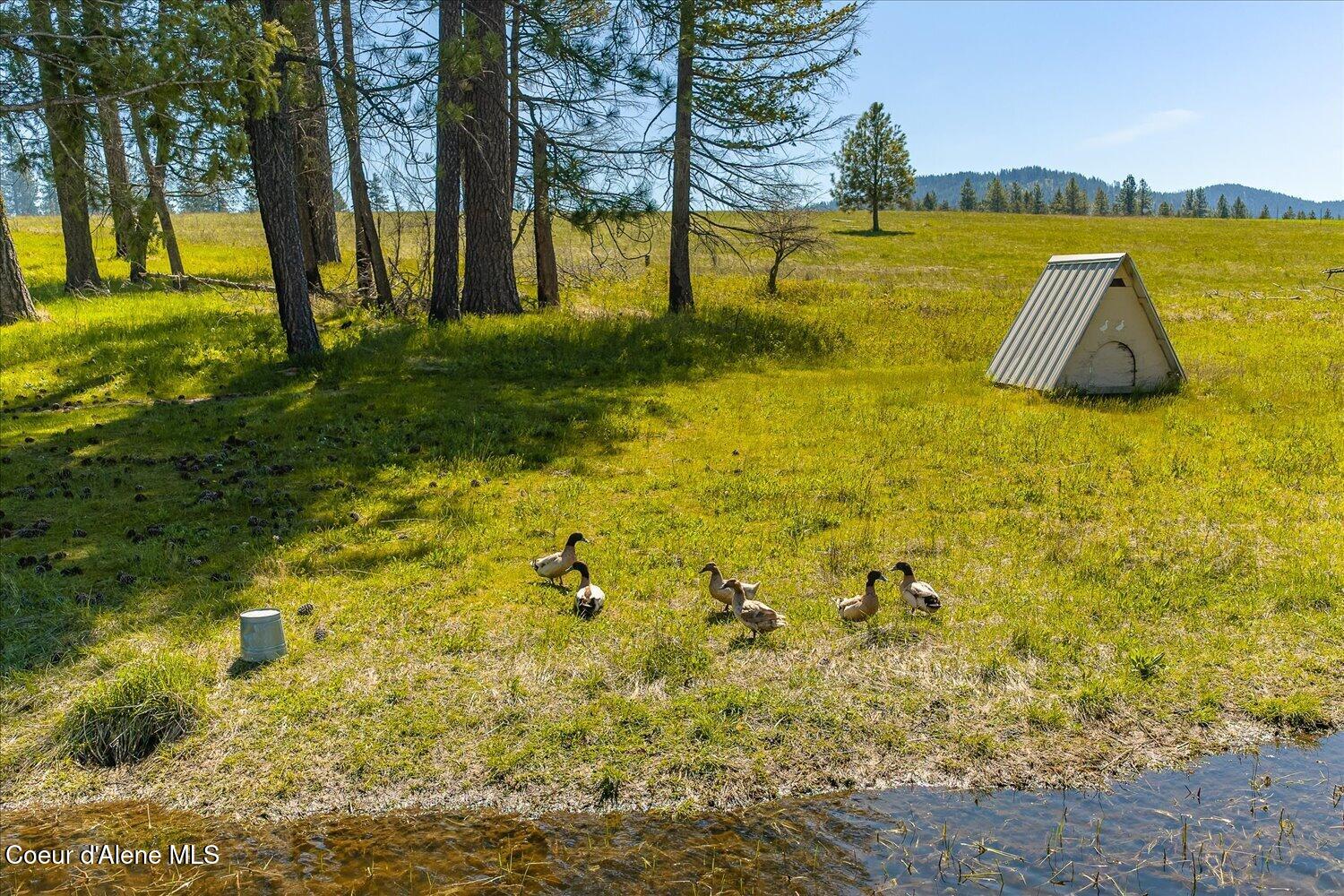 1061 Canyon Ridge Lane Plummer, ID 83851 - Photo 76 of 88 76-1061 Canyon Ridge Ln 76