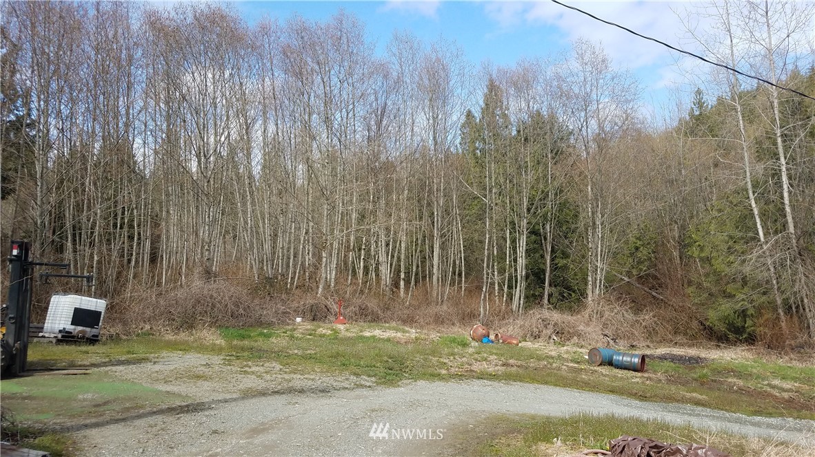 25277 Lake Cavanaugh Road Mount Vernon, WA 98274 - Photo 19 of 20 Gallery Image 19