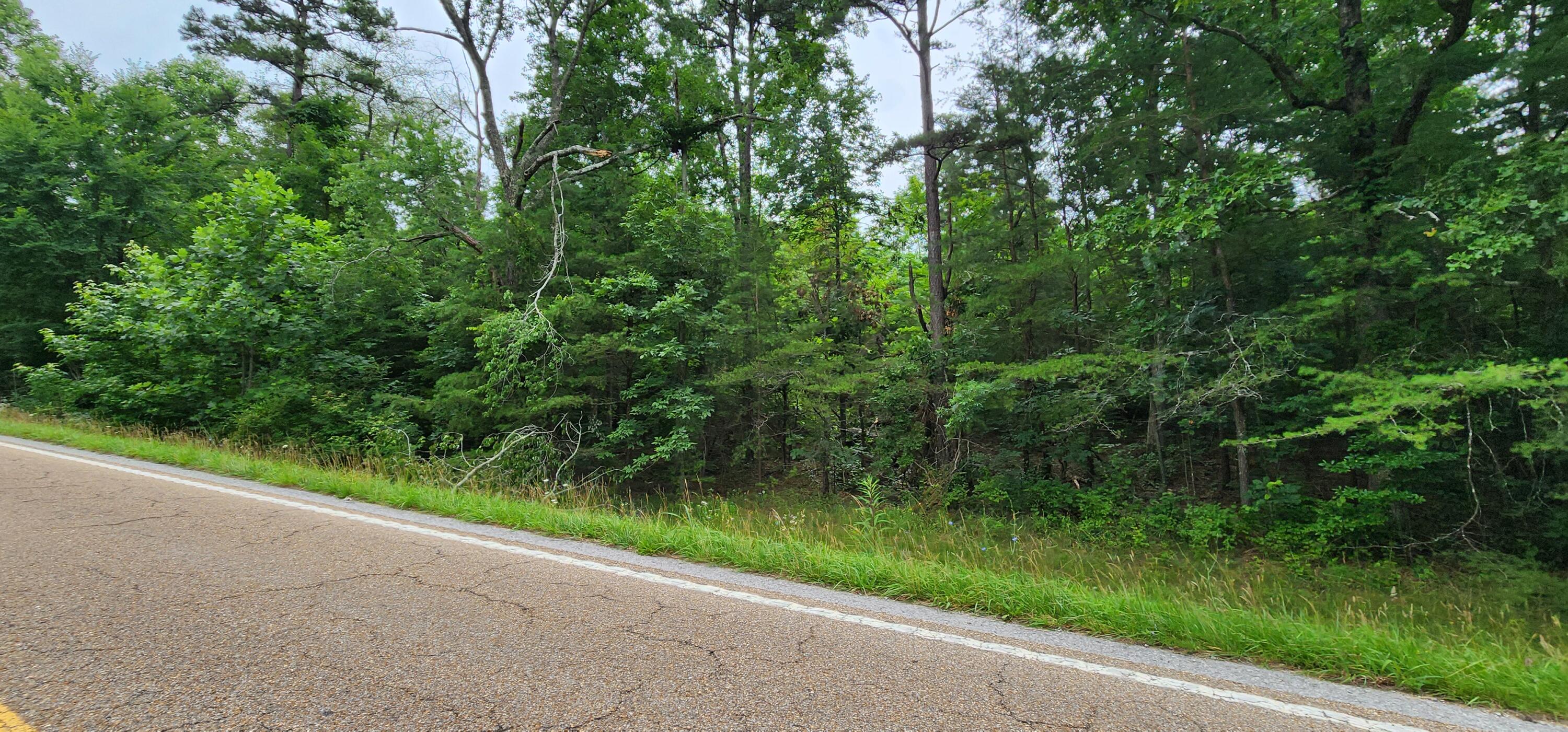 0 Sequatchie Mountain Road Sequatchie, TN 37374 - Photo 2 of 9 1000053943