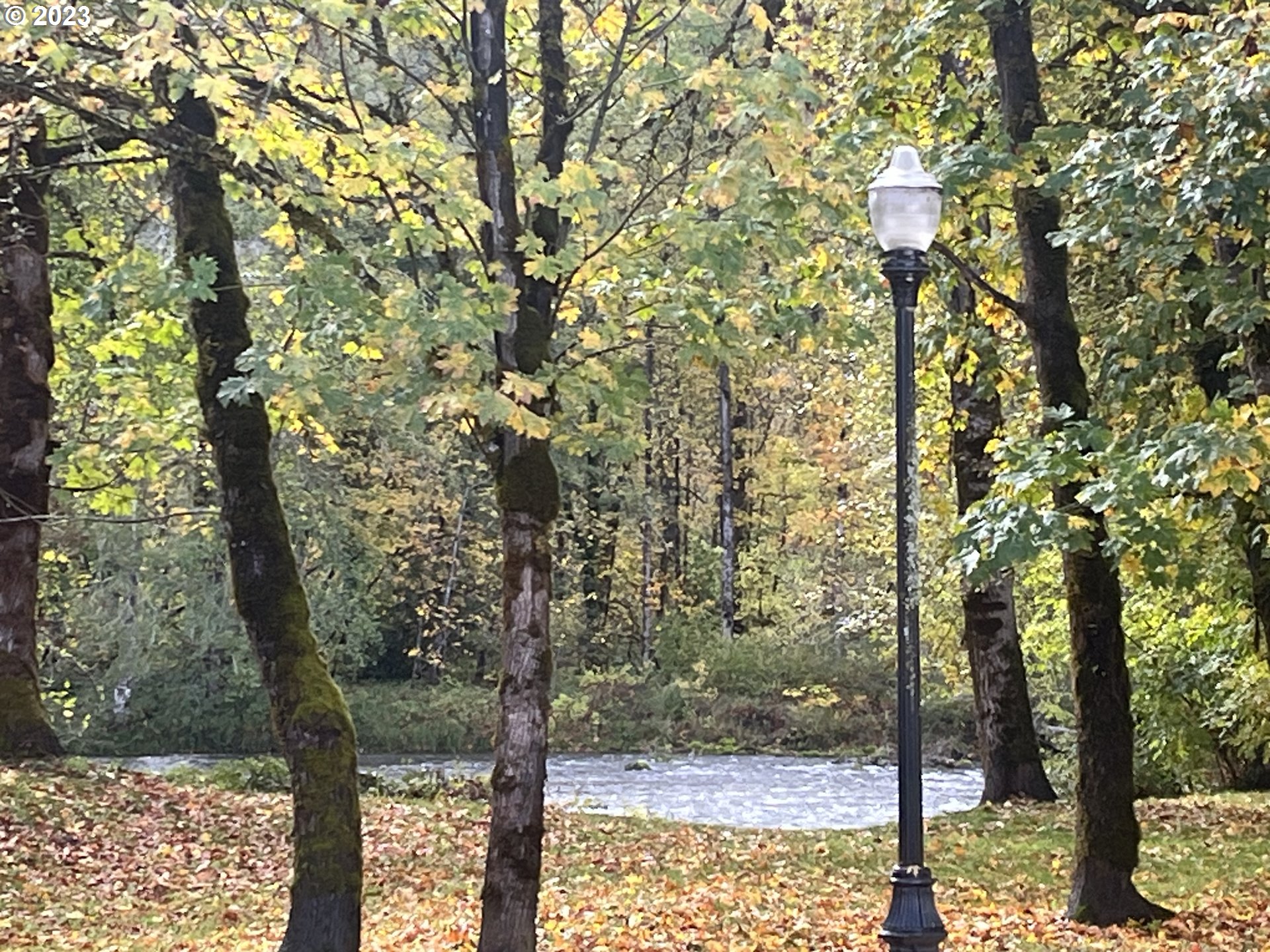 76367 Klohn Road Oakridge, OR 97463 - Photo 38 of 42 a view of a forest