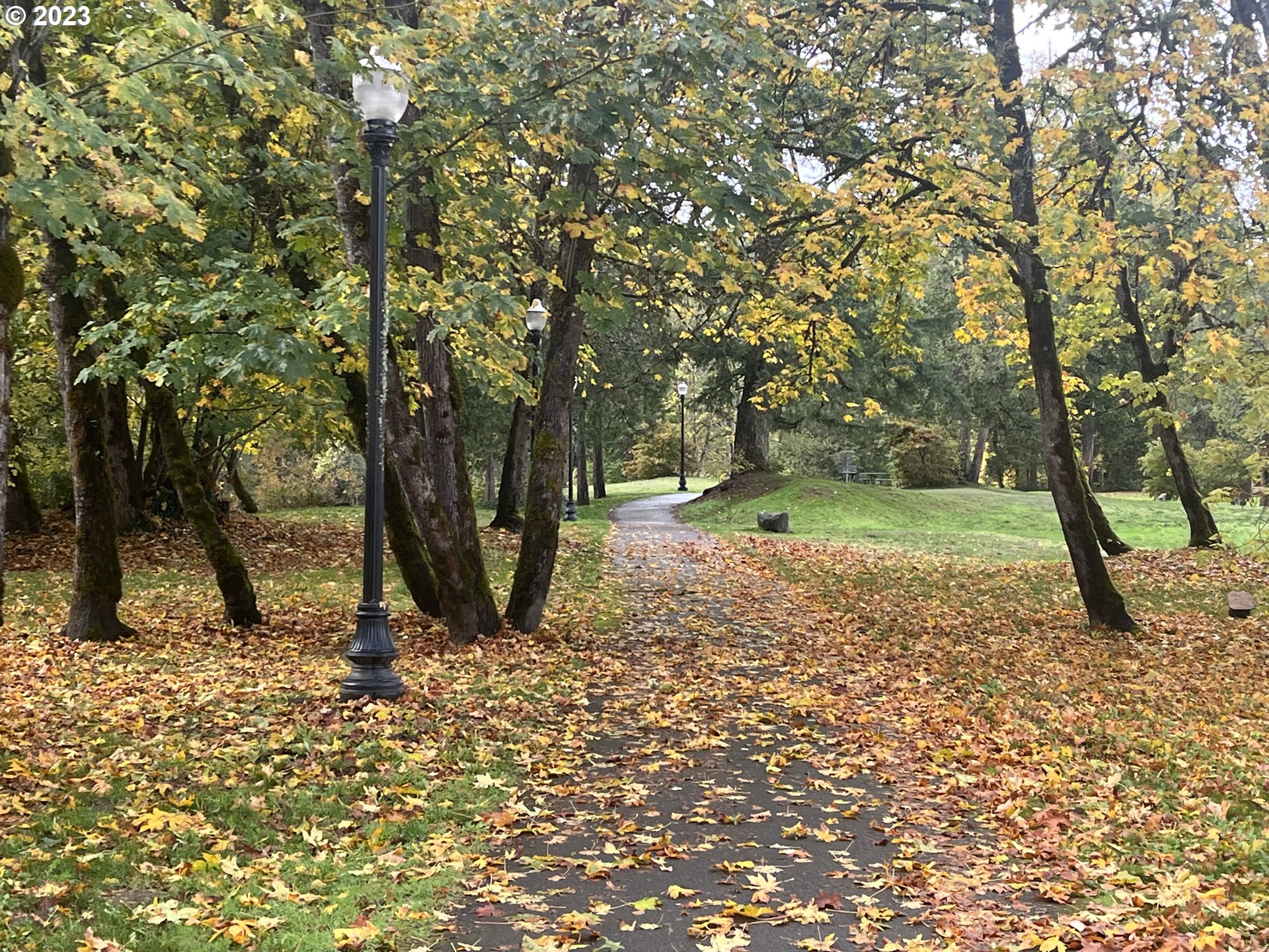 76367 Klohn Road Oakridge, OR 97463 - Photo 39 of 42 a view of outdoor space with trees