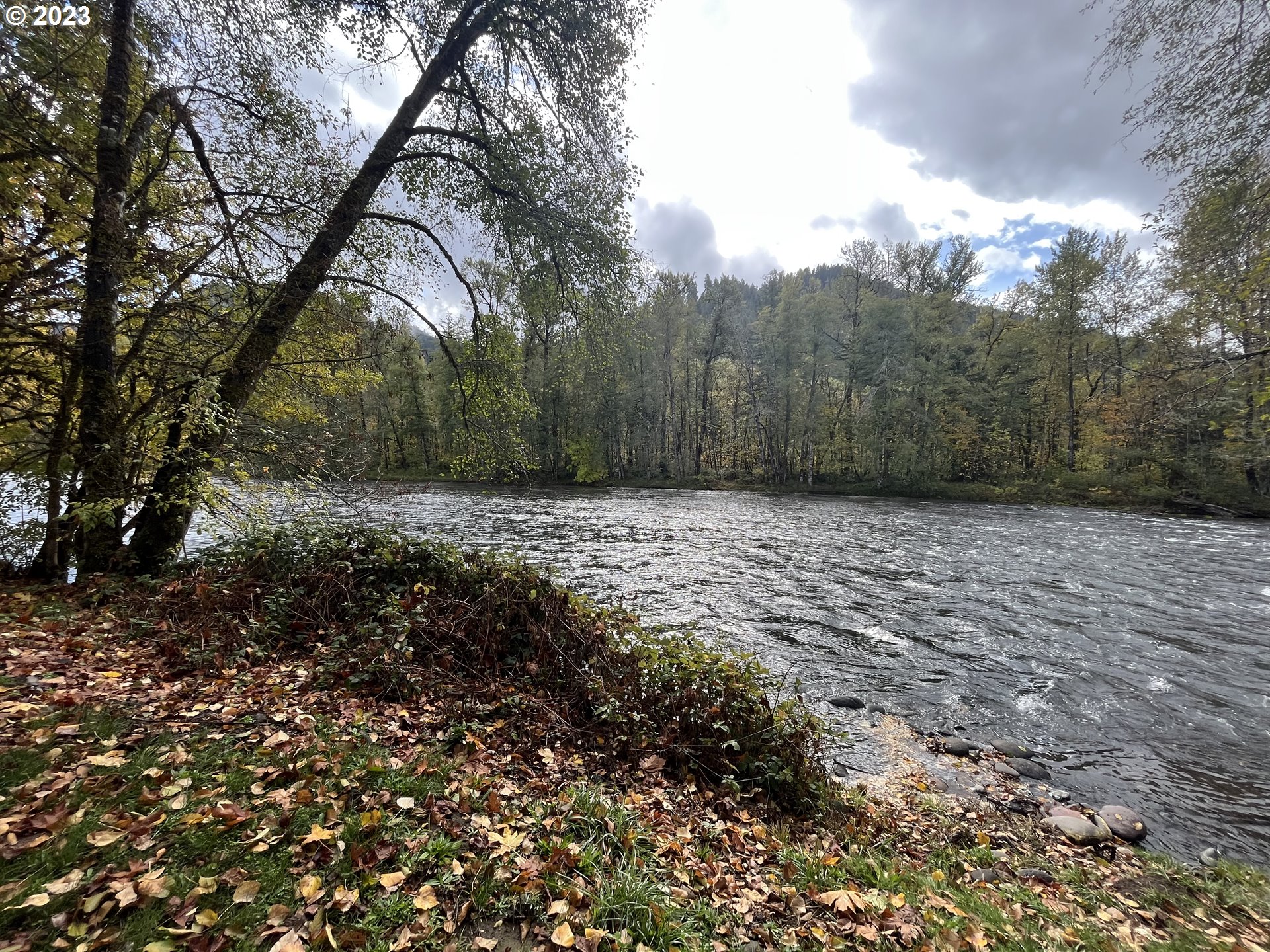 76367 Klohn Road Oakridge, OR 97463 - Photo 41 of 42 a view of a yard with trees