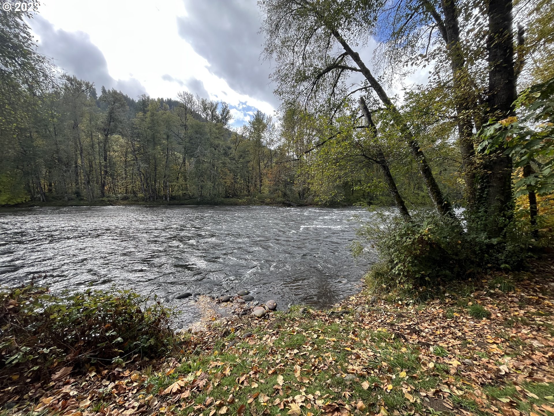 76367 Klohn Road Oakridge, OR 97463 - Photo 42 of 42 a view of a field with trees in the background