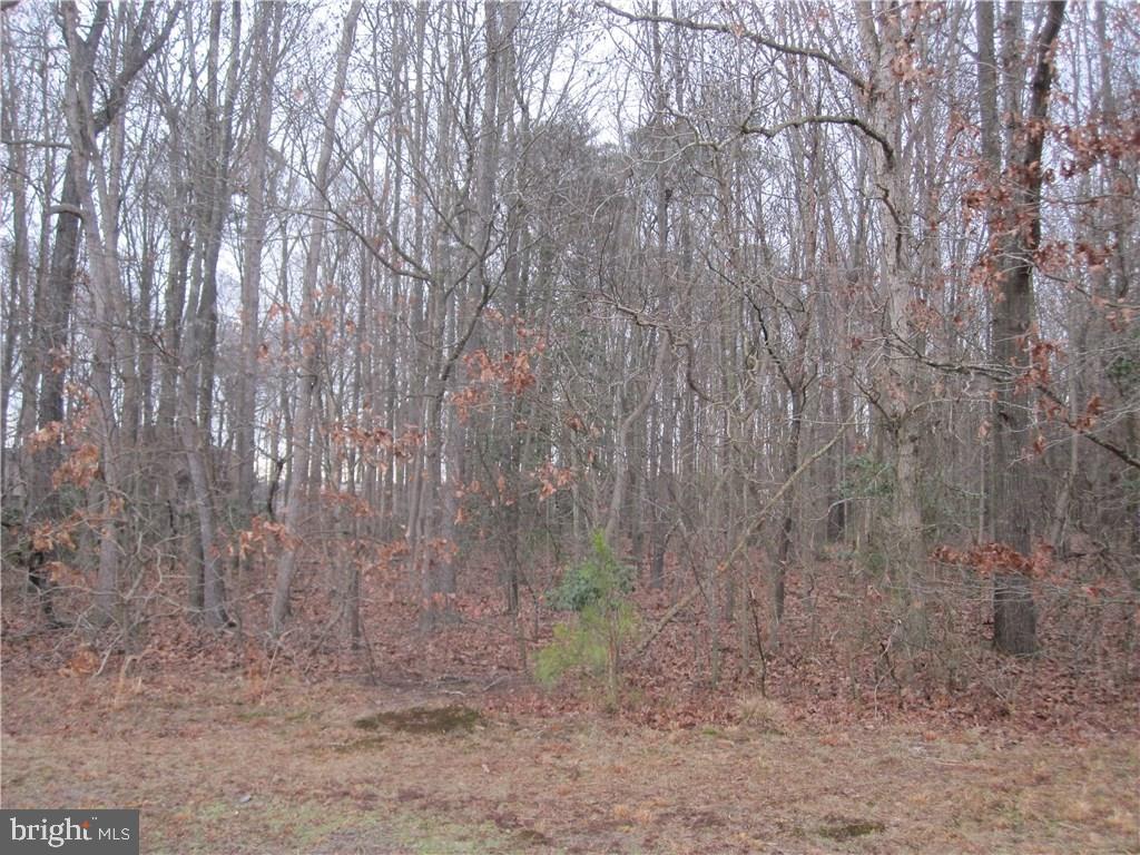 39 Peterkins Road Georgetown, DE 19947 - Photo 1 of 1 Gallery Image 1