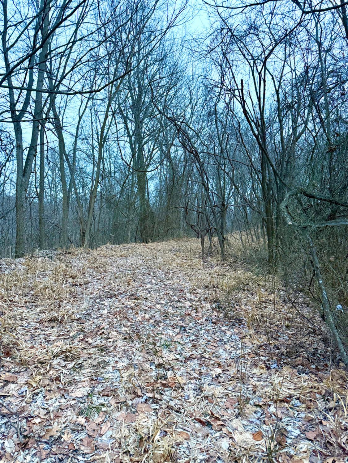0 Straight Creek Road Waverly, OH 45690 - Photo 48 of 71