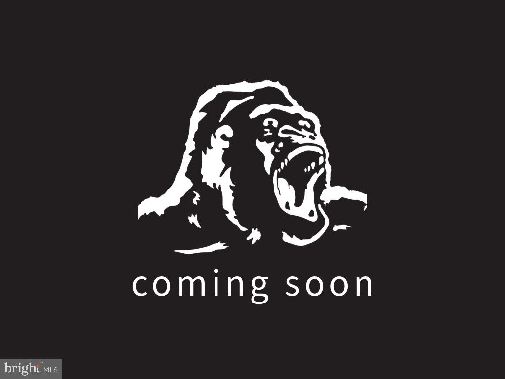 a view of a painting of a tree