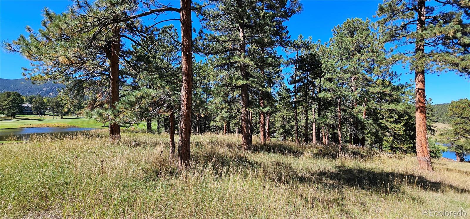 Lot 363 Interlocken Court Evergreen, CO 80439 - Photo 2 of 14 a view of a lake with a tree in the background