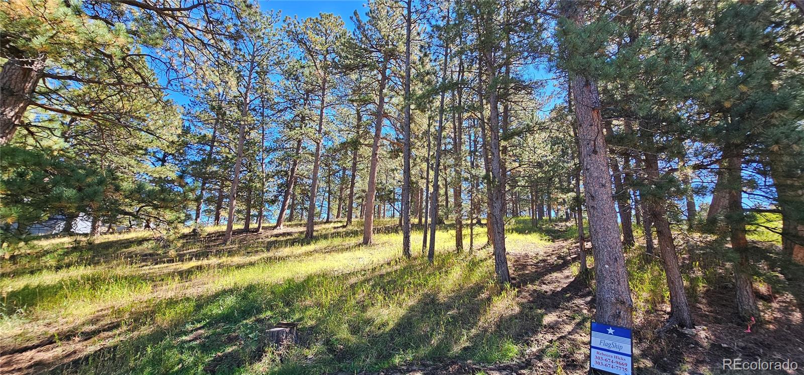 Lot 363 Interlocken Court Evergreen, CO 80439 - Photo 3 of 14 a view of yard along with trees