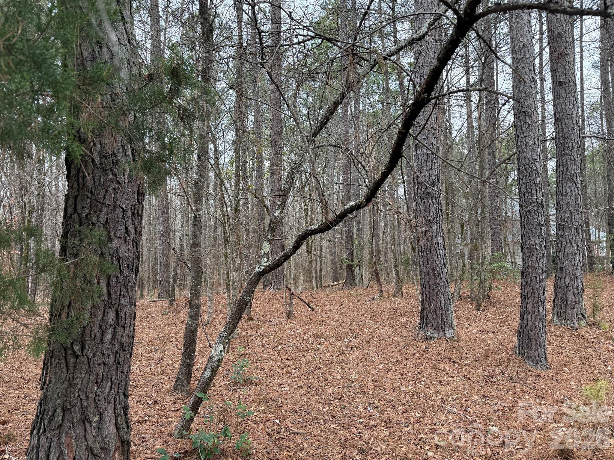 6191 Chimney Bluff Road Lancaster, SC 29720 - Photo 6 of 34