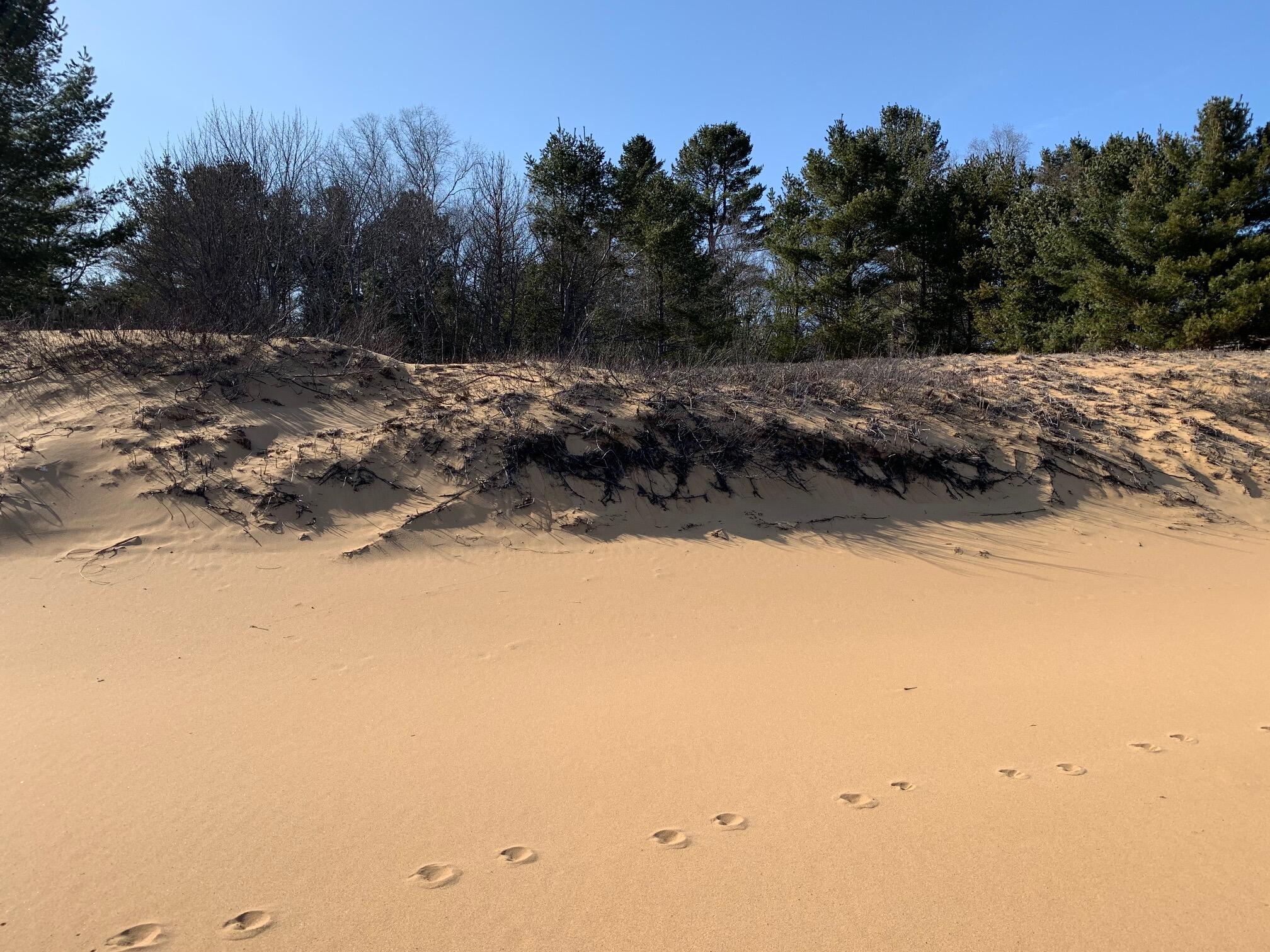 14920 North Whitefish Point Road Paradise, MI 49768 - Photo 6 of 17 Gallery Image 6