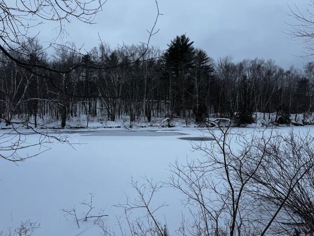 M6-l75-7 Raymond Road Palmyra, ME 04965 - Photo 5 of 17 IMG_1818