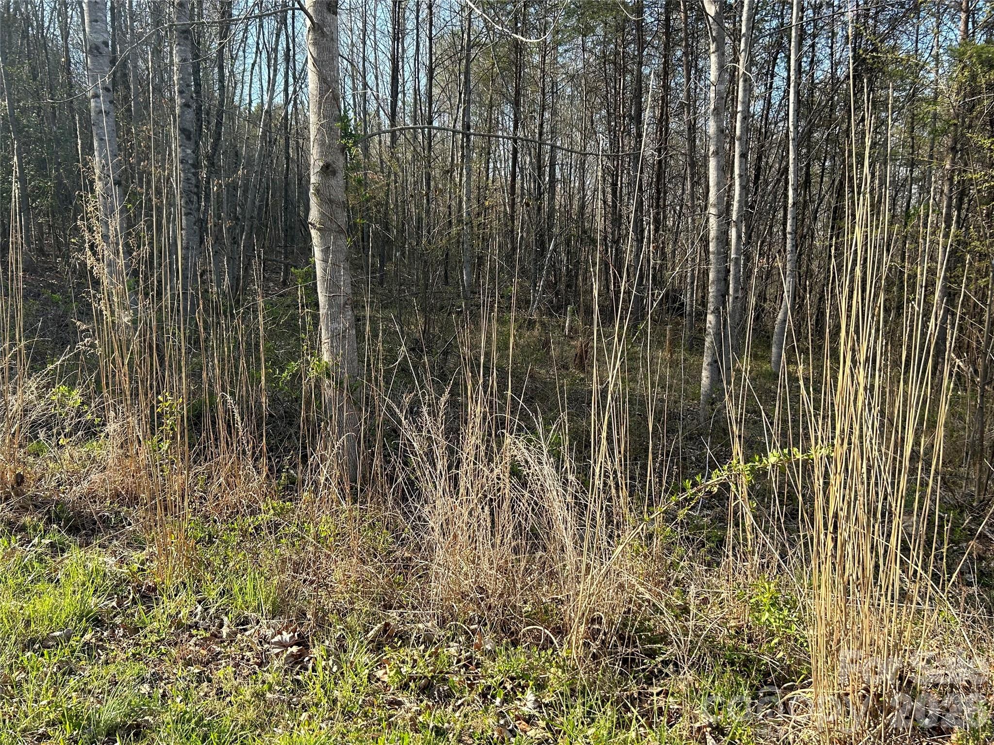 288 Coolbrook Road Union Grove, NC 28689 - Photo 13 of 39
