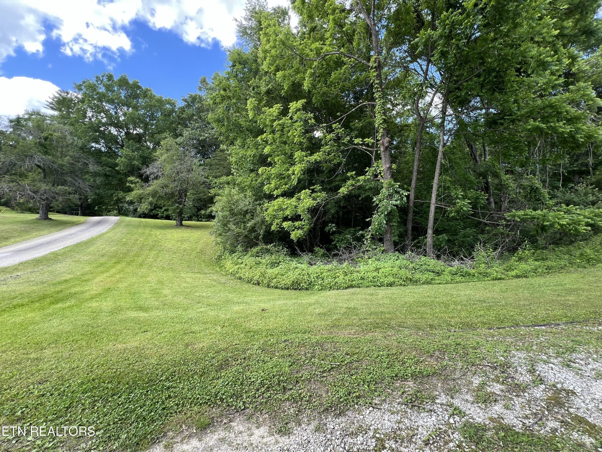 435 Sherman Carson Road Oneida, TN 37841 - Photo 6 of 32 Gallery Image 6