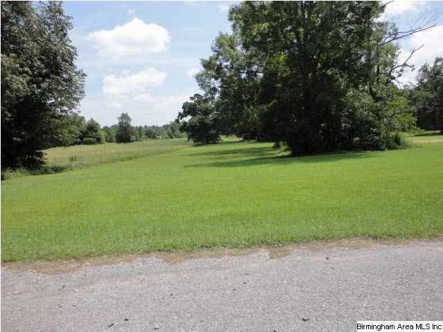 Greensport Road, Unit 7 Ashville, AL 35953 - Photo 5 of 8