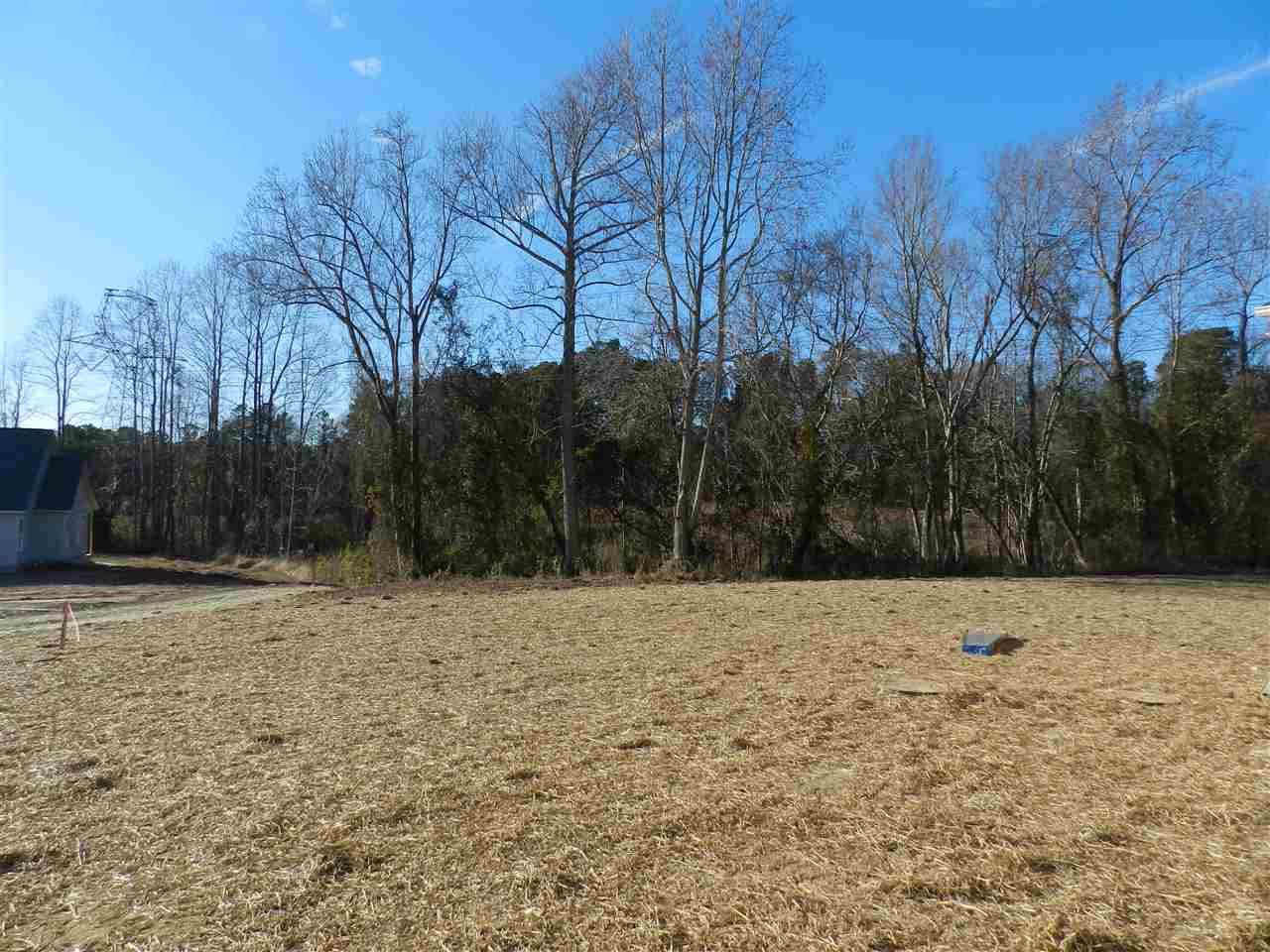 41 Riparian Court Willow Spring, NC 27592 - Photo 2 of 5 Photo 2