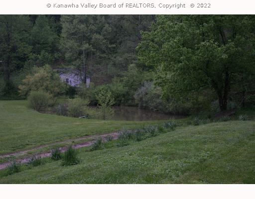 1449 Cottontree Road Walton, WV 25286 - Photo 6 of 8 Land/Lot. Pond