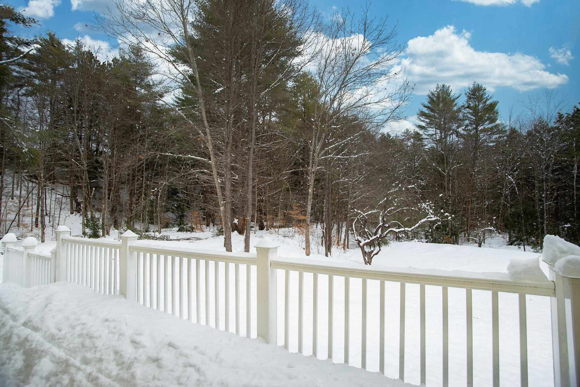 38 Richards Road Grafton, VT 05146 - Photo 27 of 32