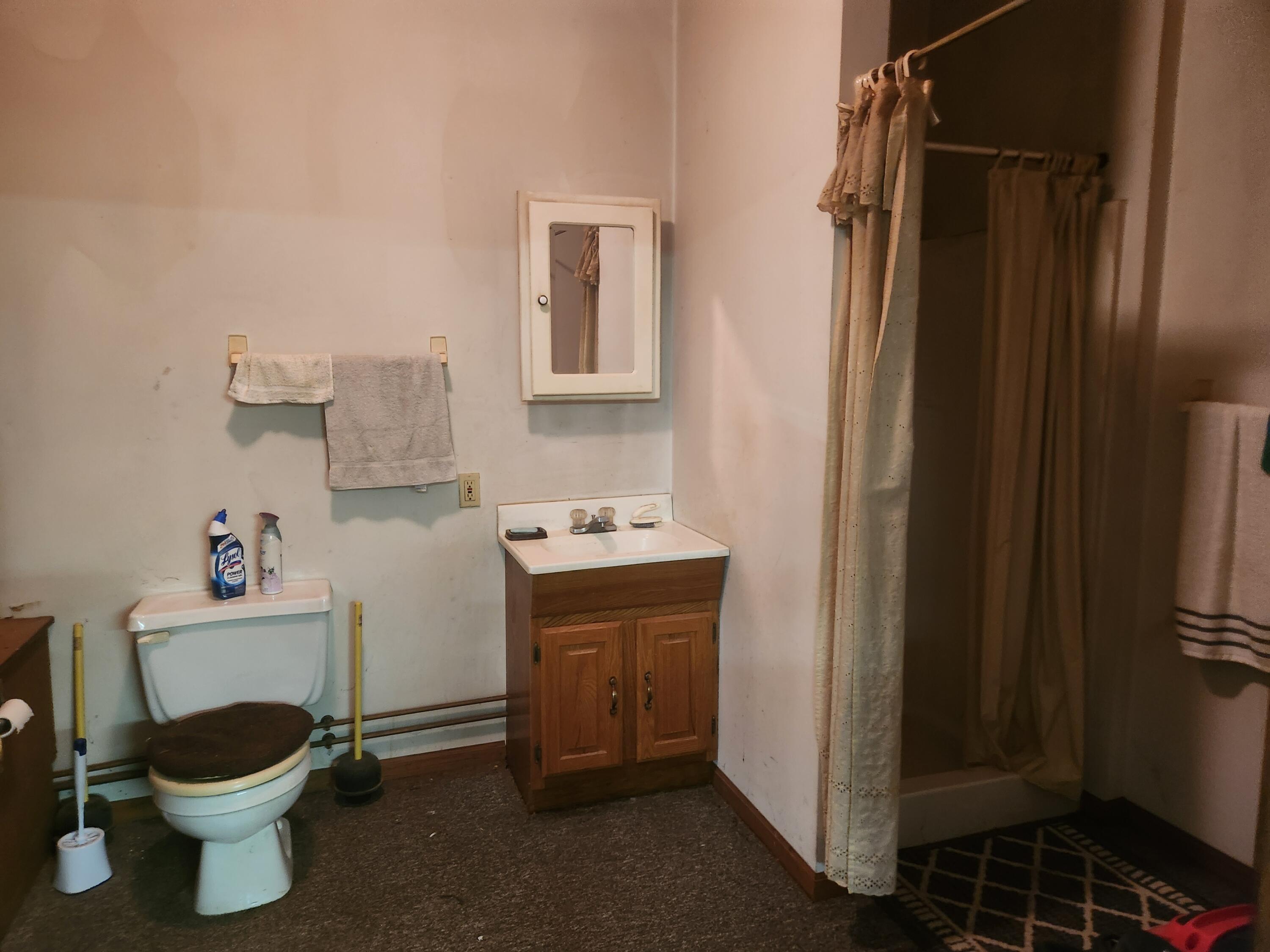 1593 West Centerline Road Baldwin, MI 49304 - Photo 17 of 21 20250615_131953