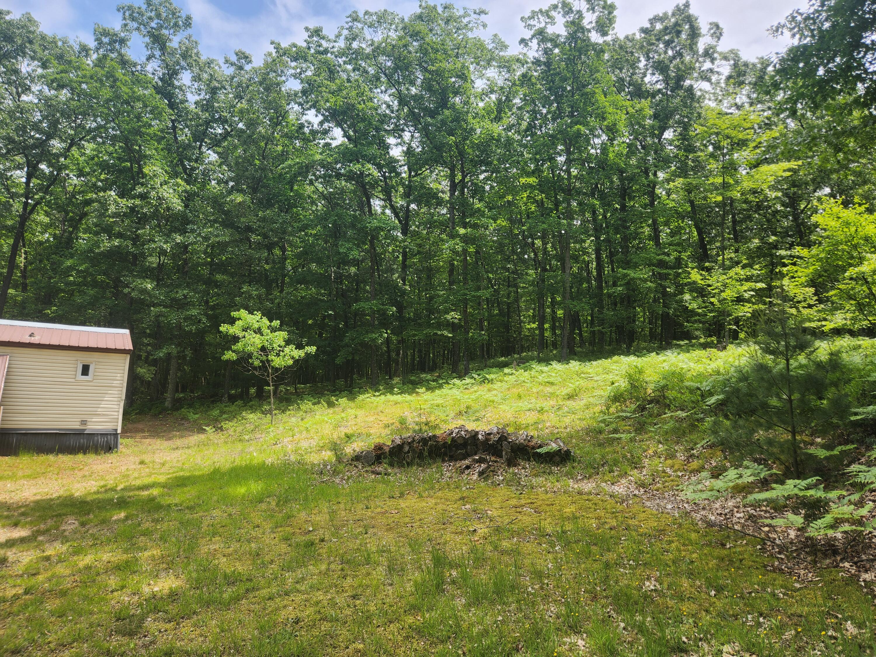 1593 West Centerline Road Baldwin, MI 49304 - Photo 21 of 21 20250615_131259