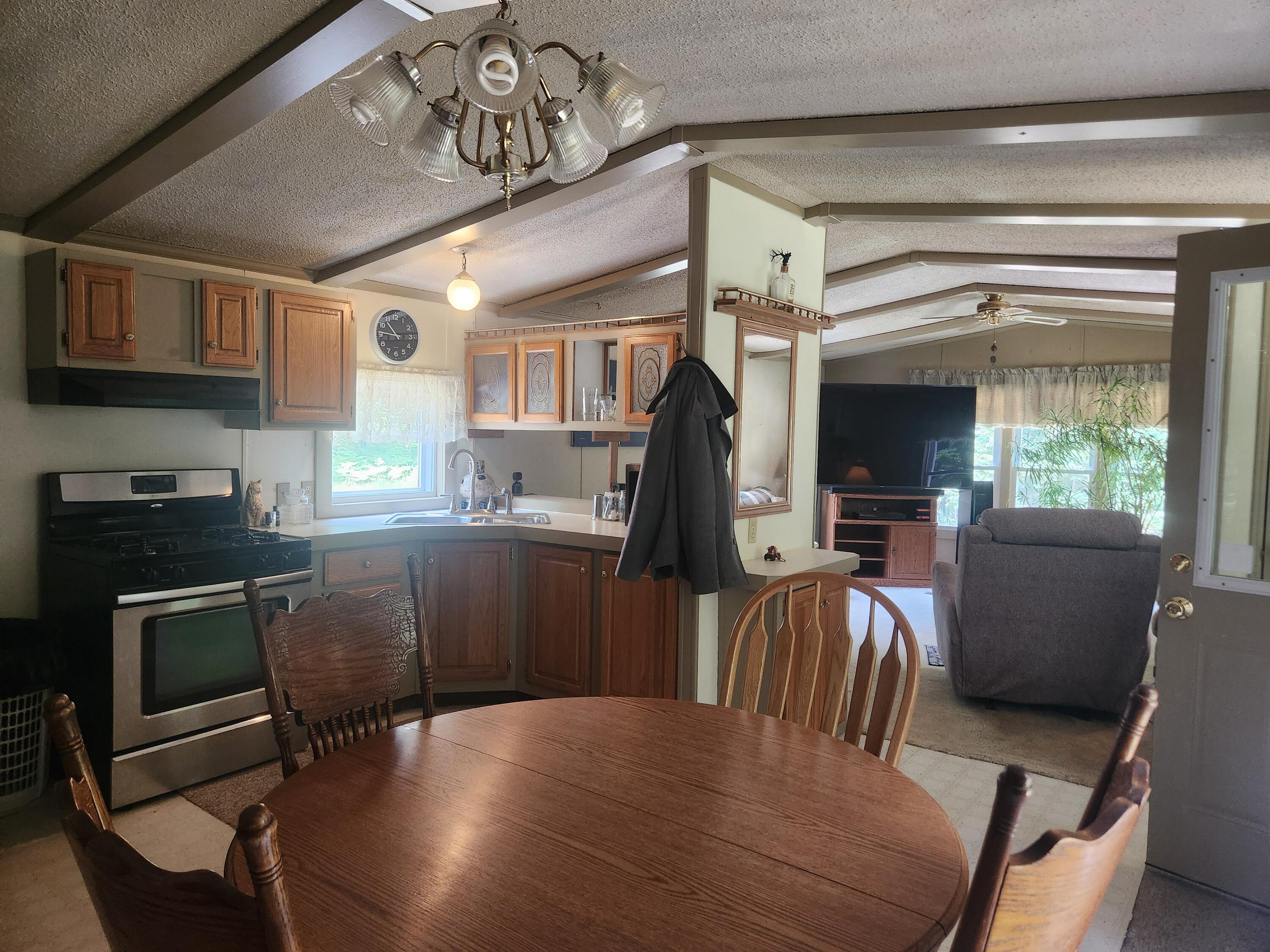 1593 West Centerline Road Baldwin, MI 49304 - Photo 3 of 21 20250615_131410