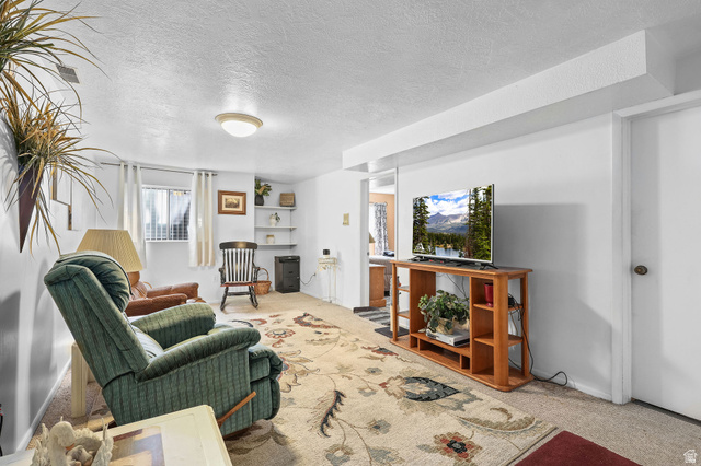 1120 Canyon Road, Unit 38 Ogden, UT 84404 - Photo 20 of 24 Living room with carpet floors and a textured ceiling