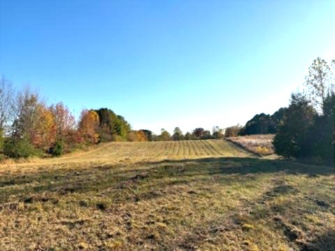 539 Womack Road Bethpage, TN 37022 - Photo 9 of 11 Gallery Image 9