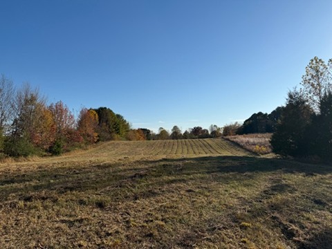 539 Womack Road Bethpage, TN 37022 - Photo 10 of 11 Gallery Image 10