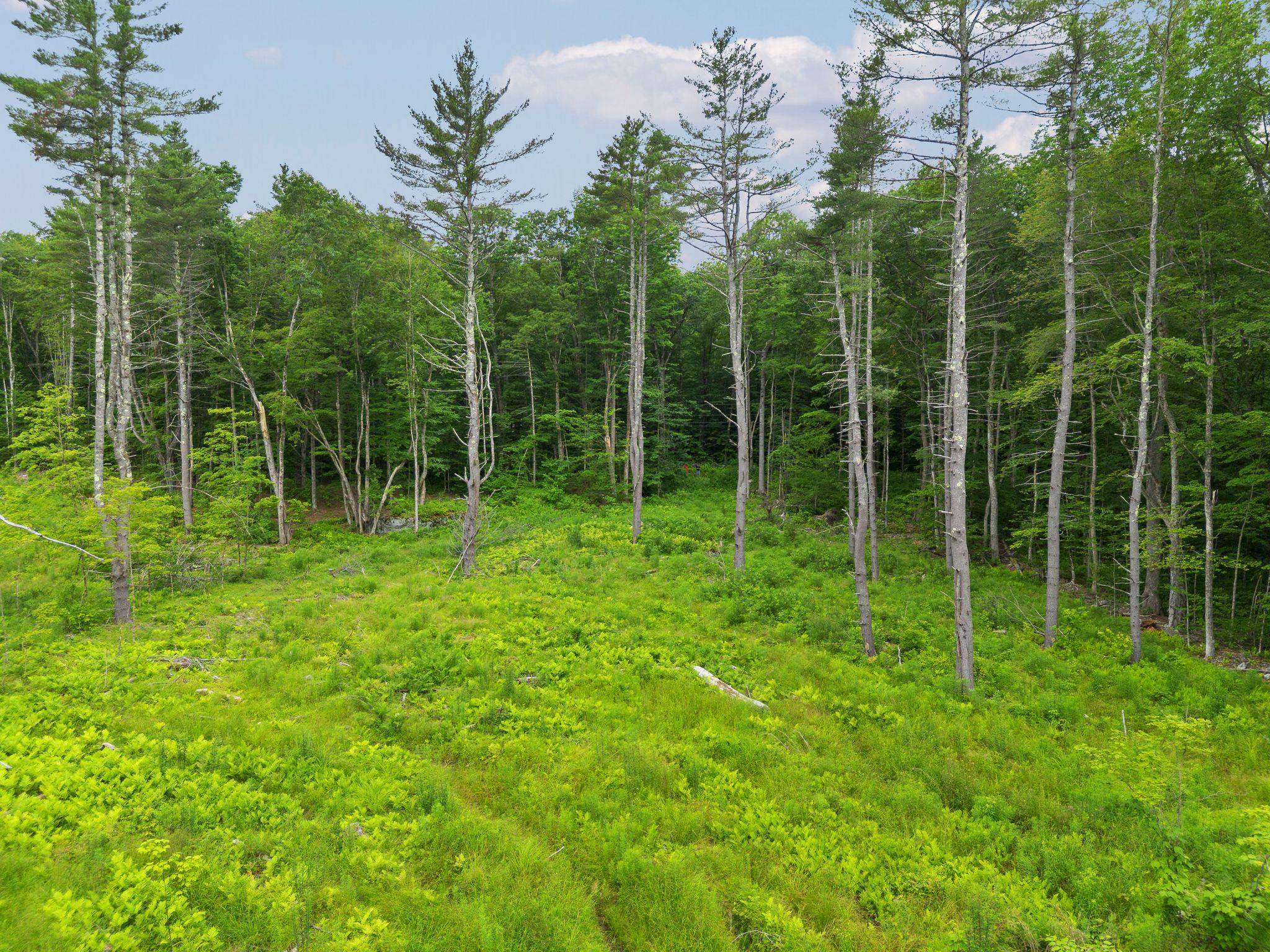 315 Gove Road Acworth, NH 03607 - Photo 2 of 17