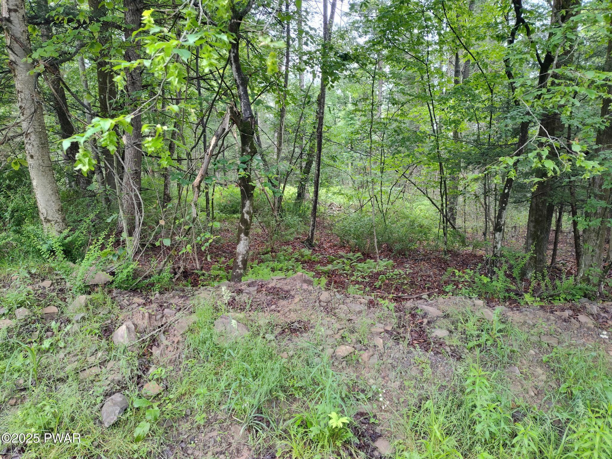 Lot 109 Aka) Gibralter Road Newfoundland, PA 18445 - Photo 5 of 19