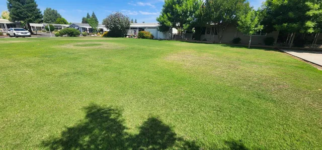 a view of a field of grass and trees