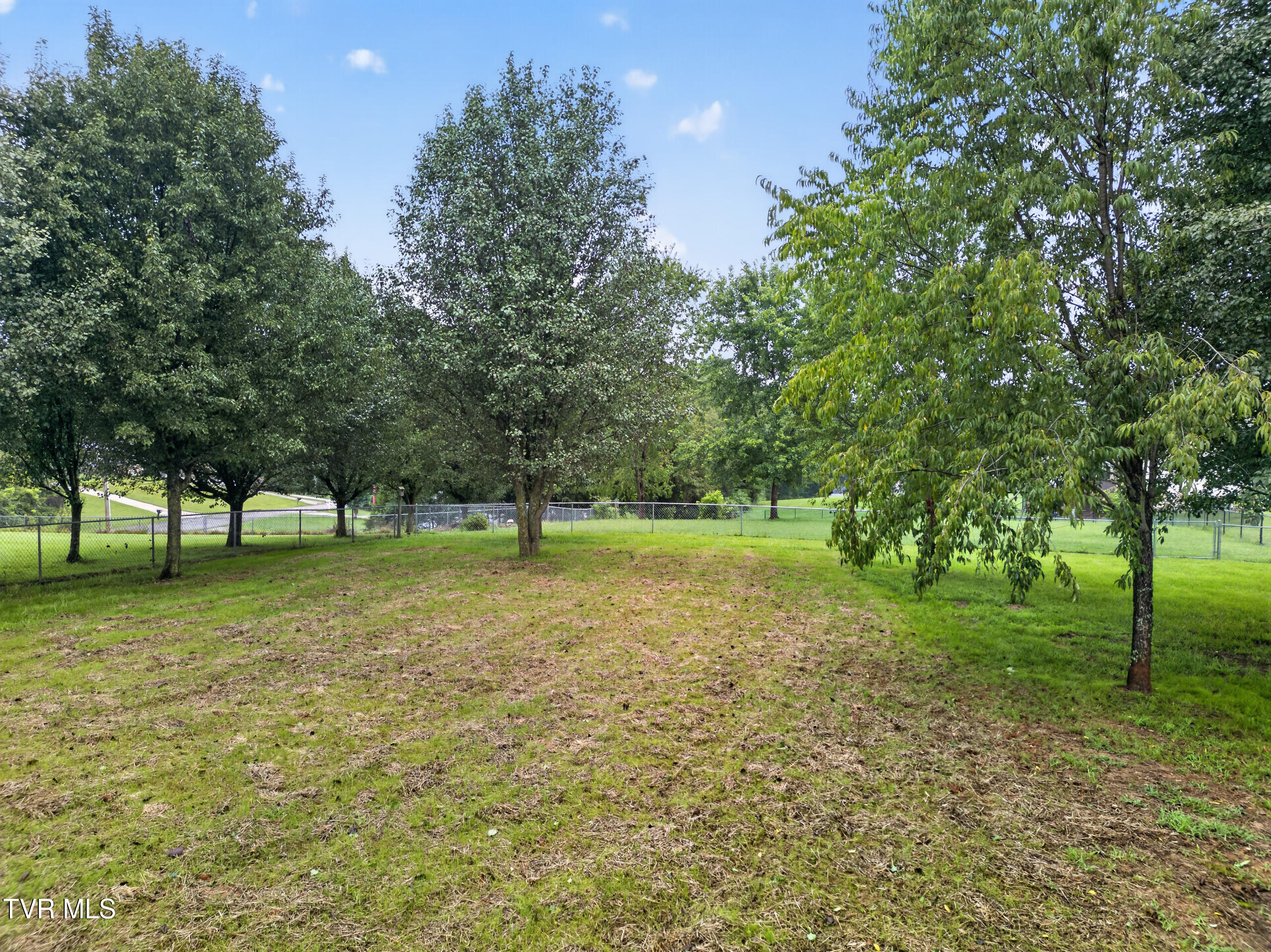 345 Pinto Road Greeneville, TN 37745 - Photo 9 of 57 DJI_0965