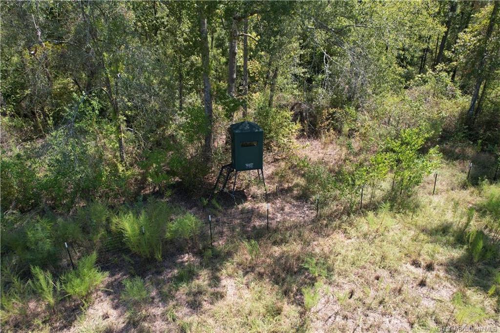 452 Lost Bridge Road Longville, LA 70652 - Photo 14 of 17 Gallery Image 14