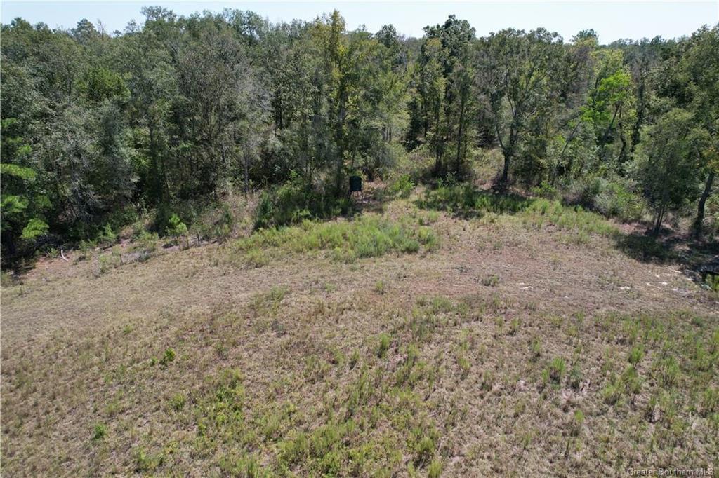 452 Lost Bridge Road Longville, LA 70652 - Photo 15 of 17 Gallery Image 15