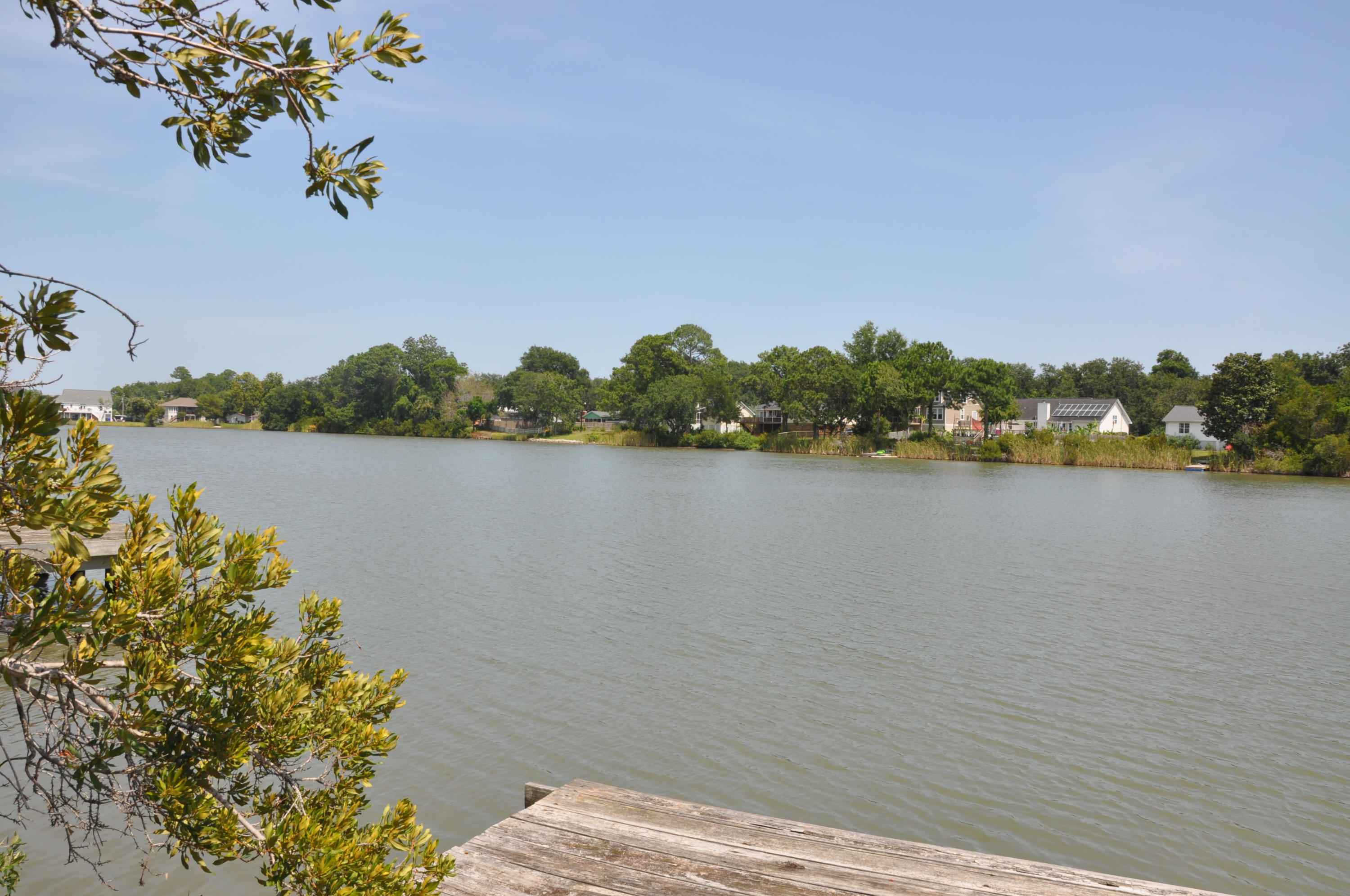 1341 Battle Ground Road Charleston, SC 29412 - Photo 14 of 34 DSC_0907