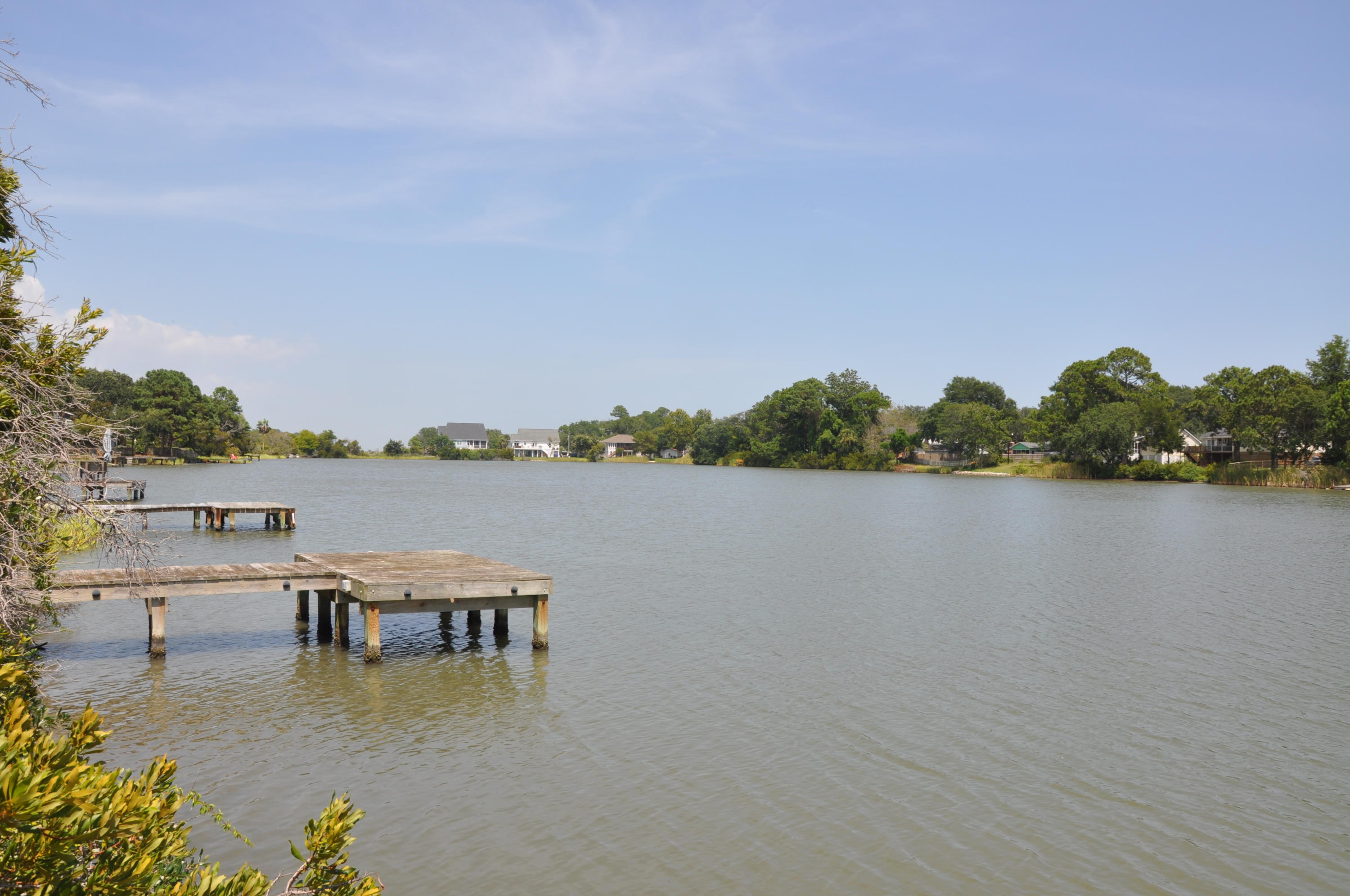 1341 Battle Ground Road Charleston, SC 29412 - Photo 15 of 34 DSC_0908