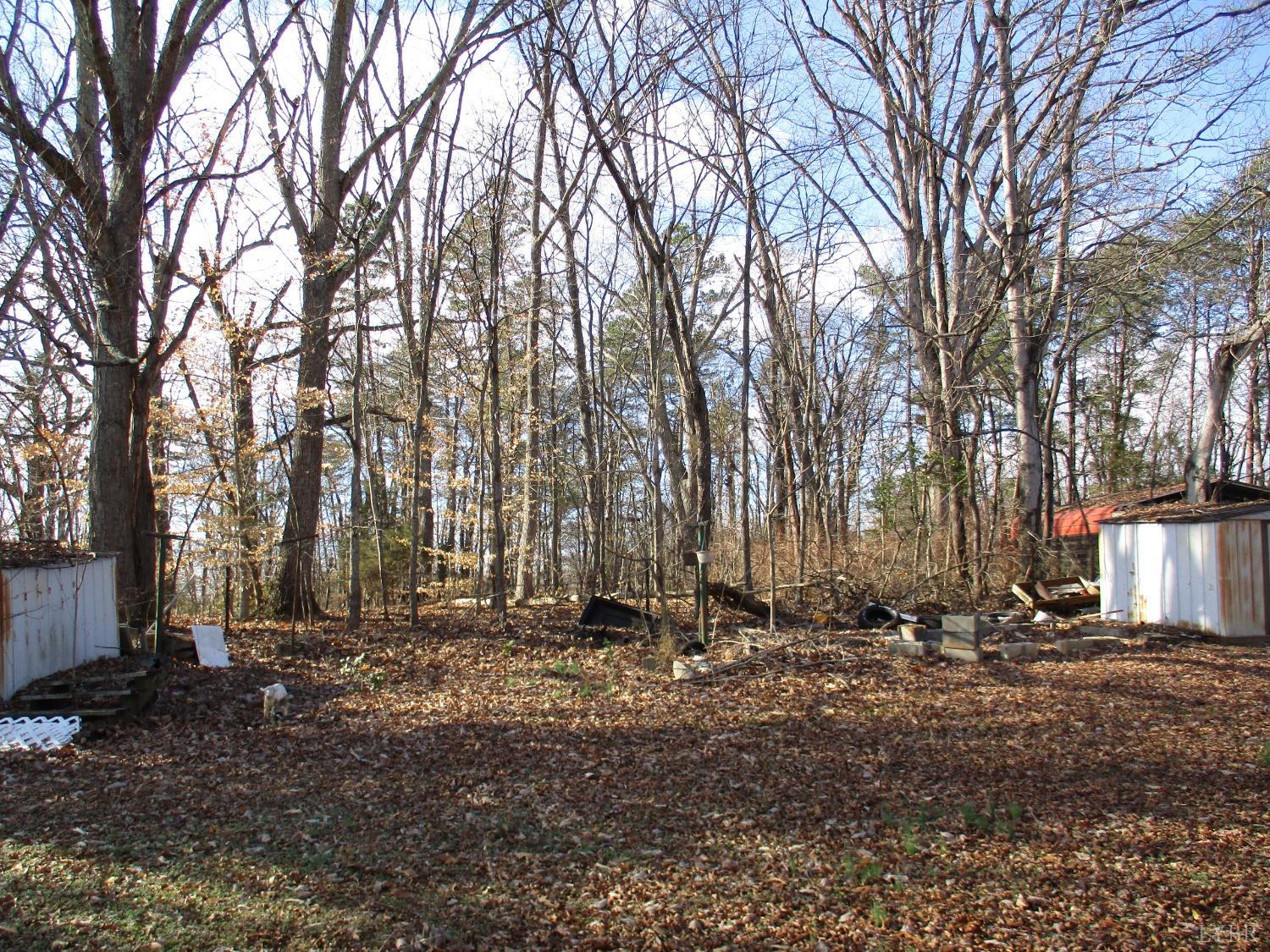 203 Prospect Road Hurt, VA 24563 - Photo 7 of 20
