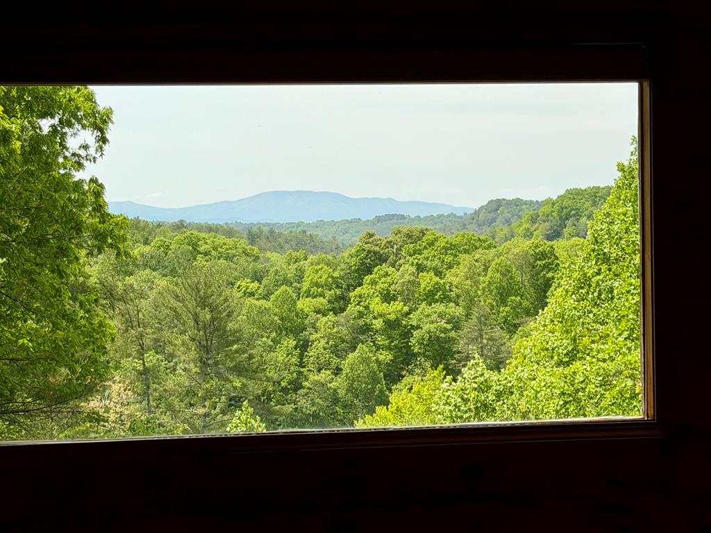964 Walkabout Creek Road Morganton, GA 30560 - Photo 3 of 49