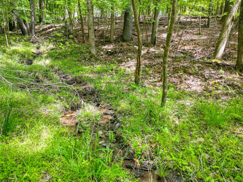964 Walkabout Creek Road Morganton, GA 30560 - Photo 45 of 49