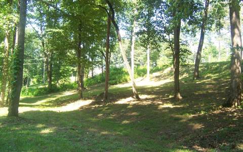 Luther Branch Road Marble, NC 28905 - Photo 1 of 1 Main View
